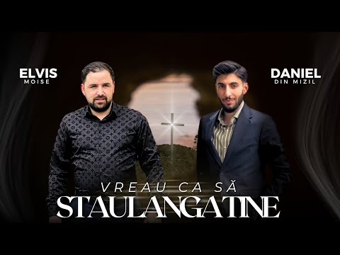 Elvis Moise & Daniel din Mizil - Vreau ca să stau lângă tine (cover)