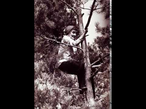 The Gnome effect - Biohazard (Meeloo rmx)