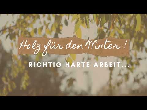 Holz für den Winter !