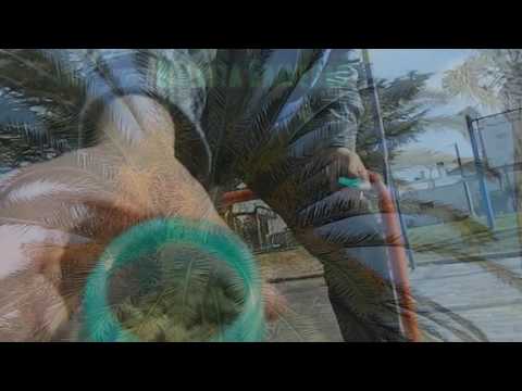 Maldita Gravedad x Arlequín VSC - En la delmira