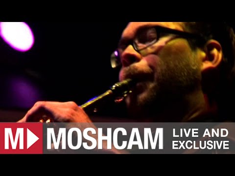 The Crusty Suitcase Band - Black Elixir (Track 10 of 16) | Moshcam