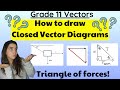 Grade 11 Physics Closed Vector Diagrams Triangle Of Forces