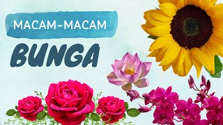 Download lagu Macam-macam Bunga - pengenalan jenis-jenis bunga part 1 mp3 Download lagu Macam-macam Bunga - pengenalan jenis-jenis bunga part 1 mp3