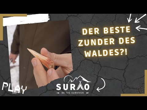 DER BESTE ZUNDER DES WALDES ?! | Kienspan finden | 2 Methoden!