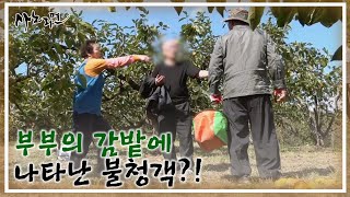 Download lagu 부부의 감밭에 나타난 불청객?! MBN 251109 방송 mp3