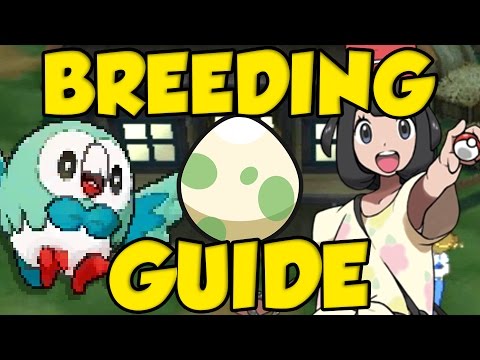 POKEMON SUN AND MOON BREEDING GUIDE! Best Pokemon Sun and Moon IVs and Hidden Ability Breeding
