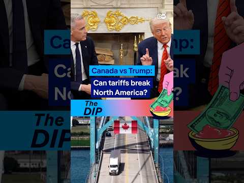 How damaging are Canada's retaliatory tariffs for its own economy? | The Dip Podcast