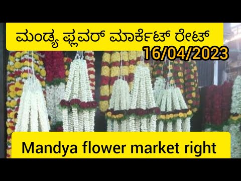 mandya flower market rate today/ಮಂಡ್ಯ ಪ್ಲವರ್ ಮಾರ್ಕೆಟ್ ರೇಟ್/mandya market rate/16/042023