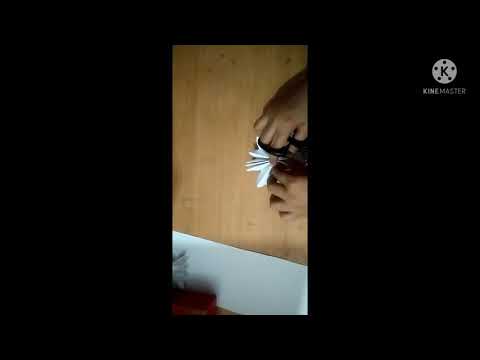 BEAUTIFUL FLOWER | Easy paper  flower | Art and craft with Kanav