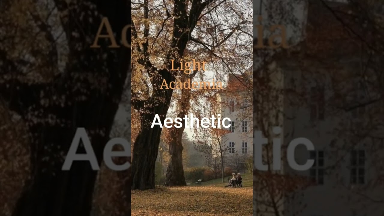Light Academia Aesthetic❇