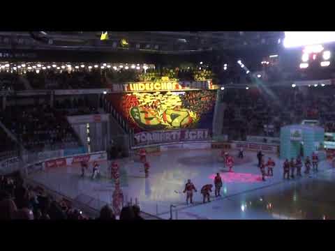 EHC Biel vs. SC Rapperswil Jona 26.01.2019