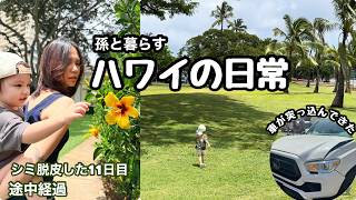 【47歳の家族vlog】 孫の成長 /車が突っ込んできた/シミ取り途中経過/孫２歳２ヶ月/#ハワイ暮らし /夫婦vlog #family #hawaii #honolulu 