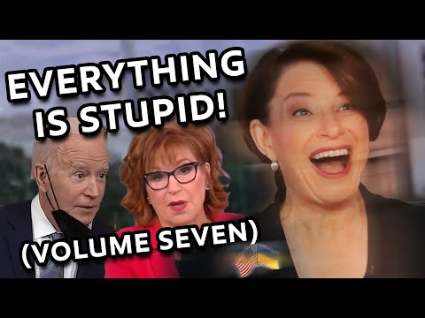 EVERYTHING IS STUPID!! (VOLUME SEVEN)
