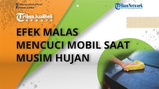 Jangan Disepelekan! Ini Efeknya jika Malas Mencuci Mobil saat Musim Hujan, Bisa Terjadi Korosi