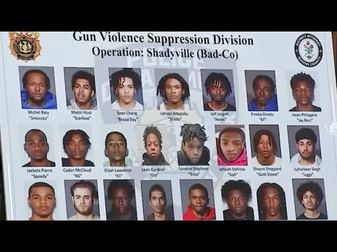 QUEENS VILLAGE (SHADYVILLE) GANG BAD-CO ARRESTED & CHARGED IN 97 COUNT INDICTMENT😱