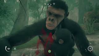 Bathing In Blood - Ancestors The Humankind Odyssey - Part 13