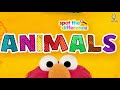 Sesame Street Spot The Difference Animals Games Learning Elmo Sesamestreet Toddlers Kidsvideo