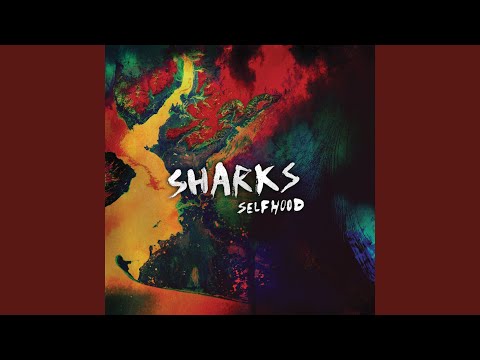 My Wild One - Sharks