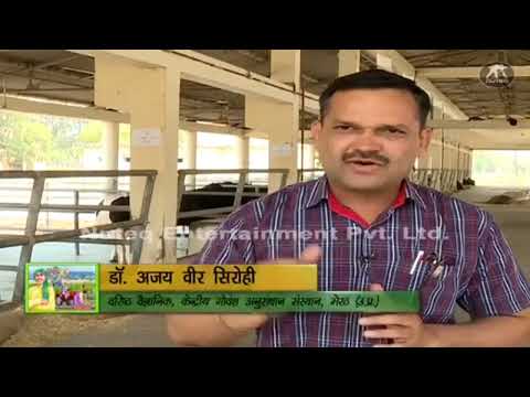 Central Cattle Research Institute, Meerut, केंद्रीय गोवंश अनुसंधान संस्थान मेरठ, Dairy Farming