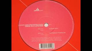 Sugar Caine Pres. Bionik Phunk - Once In A Lifetime (Playmaker's Once In A Forest Mix)