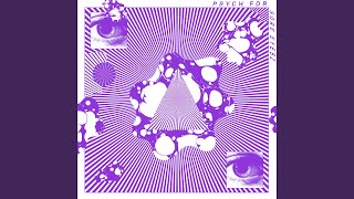 Pet Programs and Games