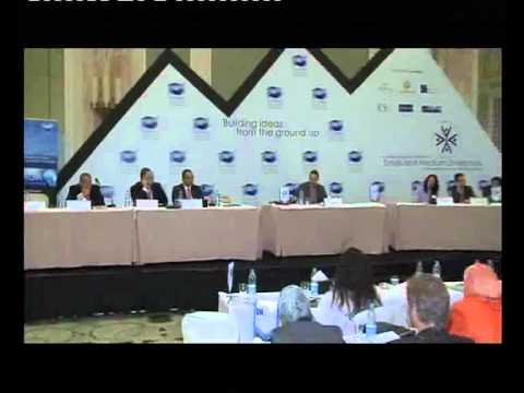 Ashraf M Naguib on Credit Rating for Small and Medium Enterp in Egypt.asf