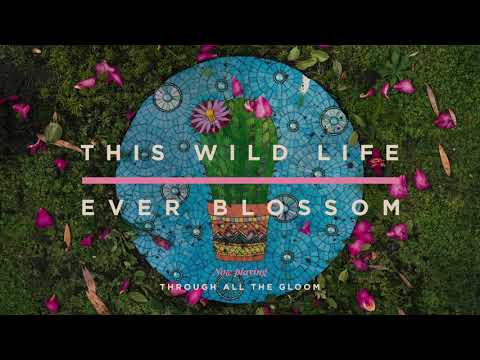 Video thumbnail for Through All the Gloom