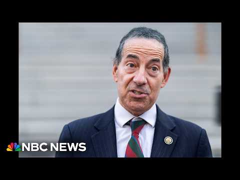Raskin says its more important for Democrats to address healthcare