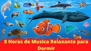 8 Horas de Musica Relaxante para Dormir