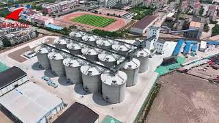 Large-Scale Bulk Material Silo Projects | Manxing Industrial Storage S