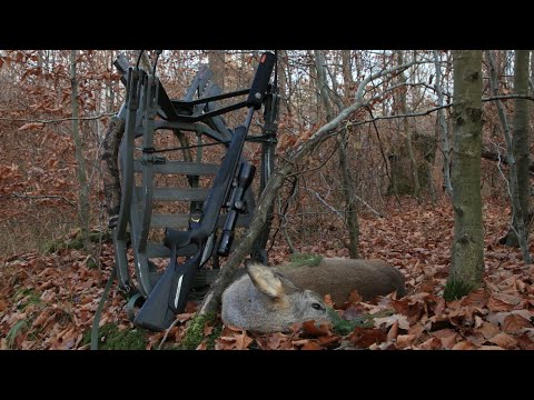 Drückjagd vom Klettersitz - jagenNRW story #8