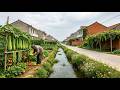 Tourist Free Rural Village In China Quiet 4K Walk Through Real Farm Life Winter Melon Harvest