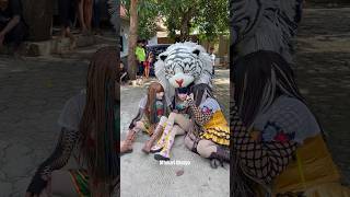 Download lagu Detik detik trio cewe cantik dim@k@n can macanan❗️ mp3