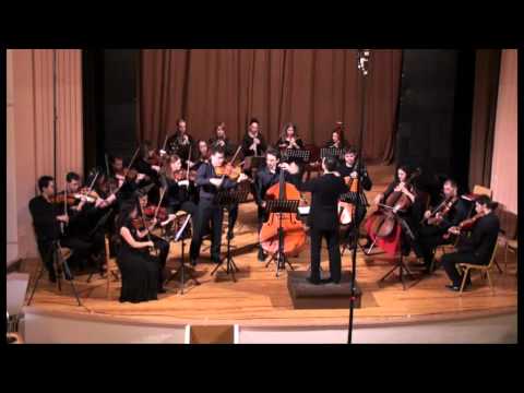 K.D.V. Dittersdorf (menueto-allegro) - Sinfonia Concertante (part 2)
