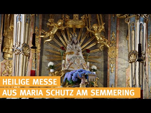 Livestream von K-TV - Katholisches Fernsehen