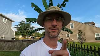 Discovering Backyard Potential: Update 8/15/2022 Revealed