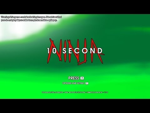 10 Second Ninja PC