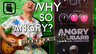 Video thumbnail for THIS is how you do overdrive! Redbeard FX Angry Rhubarb Review by EytschPi42
