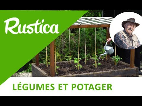 , title : 'Planter des tomates sous châssis'