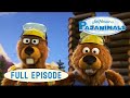 Pajanimals Team Fort Dentist Jitters Jim Henson Family Hub Kids Cartoon