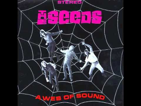 The Seeds - Up in Her Room