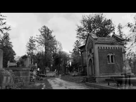 SÜLFÜR ENSEMBLE - "Daily Hate" [OFFICIAL VIDEO]