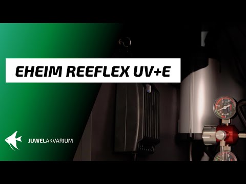 Watch Video on YouTube