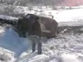 Gonki Armenia Kapan