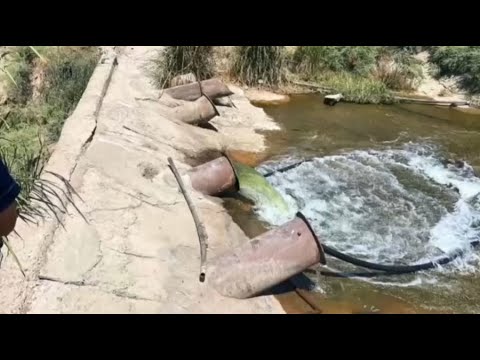 Әпке інісінің сексіне шабуыл жасайды Үйдегі жалаңаш адамдардың жеке видеосы