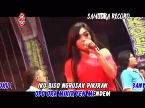 download lagu mp3 mp4 Download Mp3 Dangdut Koplo Sonata Oplosan, download lagu Download Mp3 Dangdut Koplo Sonata Oplosan gratis, unduh video klip Download Mp3 Dangdut Koplo Sonata Oplosan