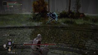 ELDEN RING_猟犬騎士倒せました！