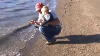 preview picture of video 'Benicia beach with Grandpa'