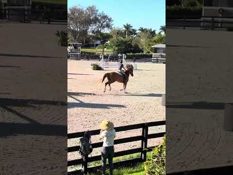 Gold Link video 4