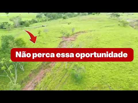 Propriedade 10 alqueires Alto Alegre dos Parecis RO 